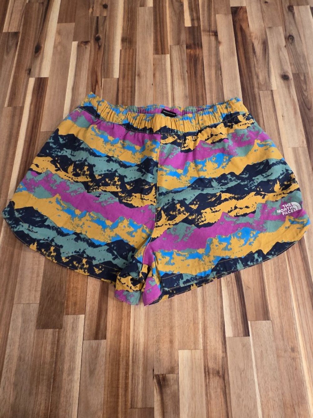 The North Face Shorts